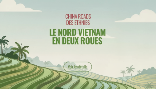 envato-labs-image-edit-38